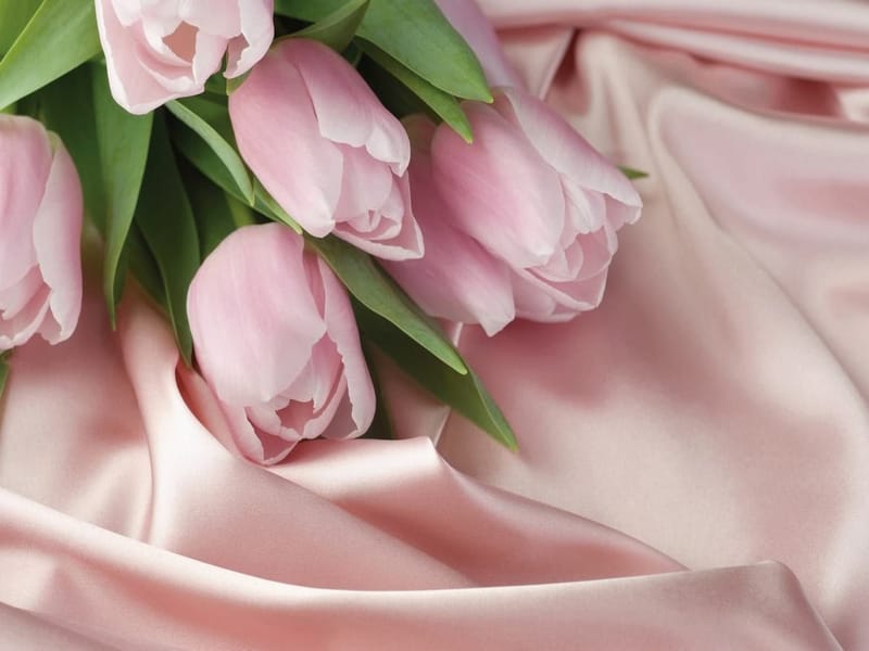 Fototapeta Jedwabny wzór z tulipanami (kod: 13127) Fototapeta Jedwabny wzór z tulipanami