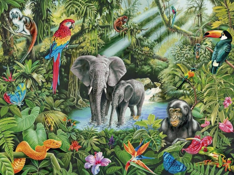 Fototapeta Egzotyczna fauna (kod: 20623) Fototapeta Egzotyczna fauna