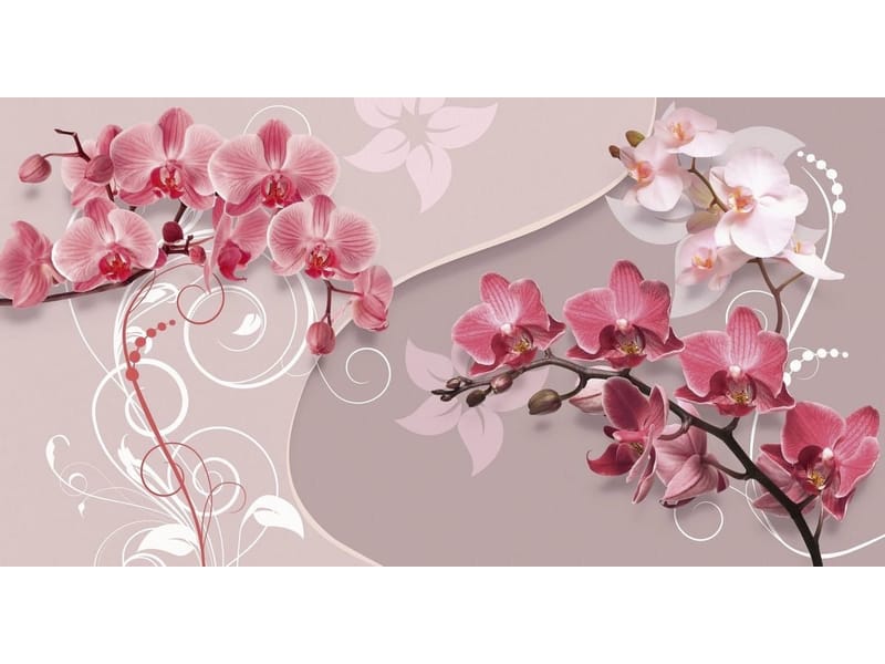 Fototapeta Zachwycające orchidee (kod: 21042) Fototapeta Zachwycające orchidee