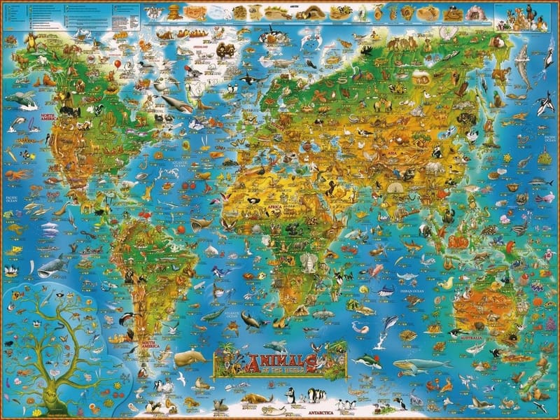 Fototapeta Bajkowa mapa globu dla najmłodszych (kod: 23760) Fototapeta Bajkowa mapa globu dla najmłodszych