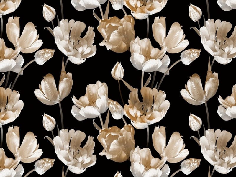 Fototapeta Tulipany blasku (kod: 25043) Fototapeta Tulipany blasku