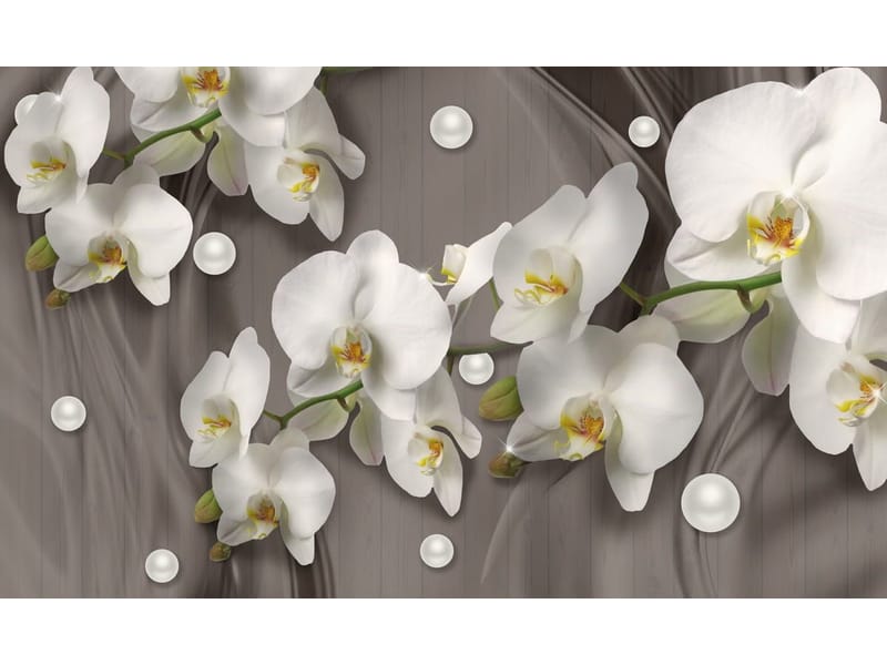 Fototapeta Perłowa orchidea (kod: 25686) Fototapeta Perłowa orchidea