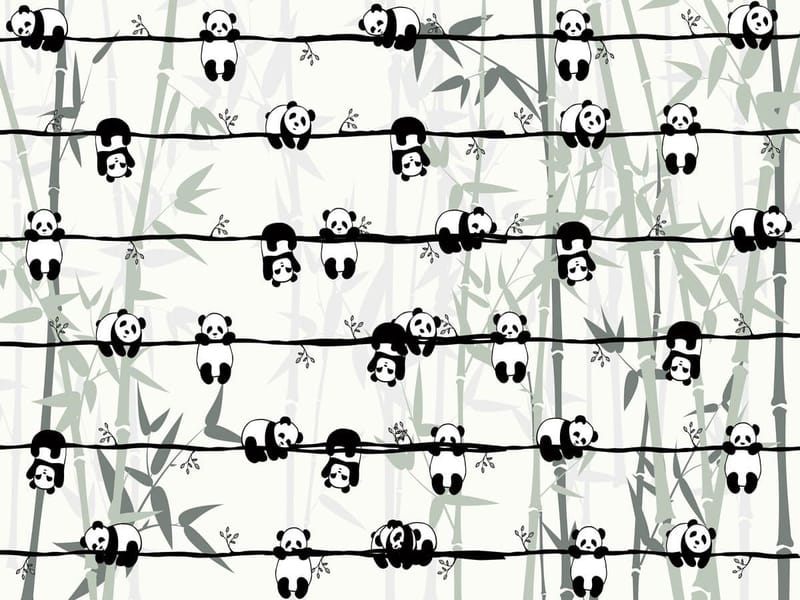 Fototapeta Bambusowi przyjaciele (kod: 25688) Fototapeta Bambusowi przyjaciele