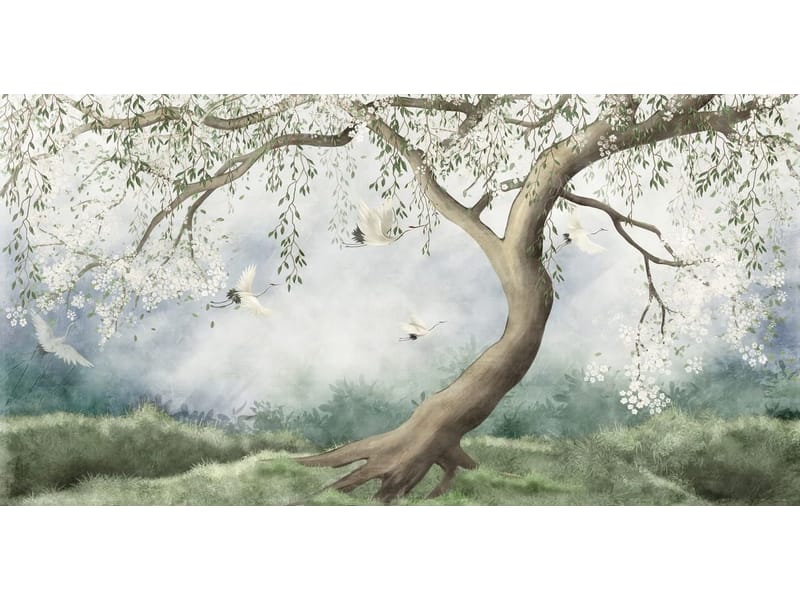 Fototapeta Biała sakura (kod: 26231) Fototapeta Biała sakura