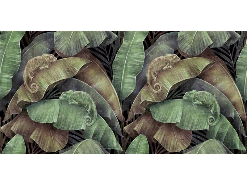 Fototapeta Bananowe liście (kod: 26244) Fototapeta Bananowe liście