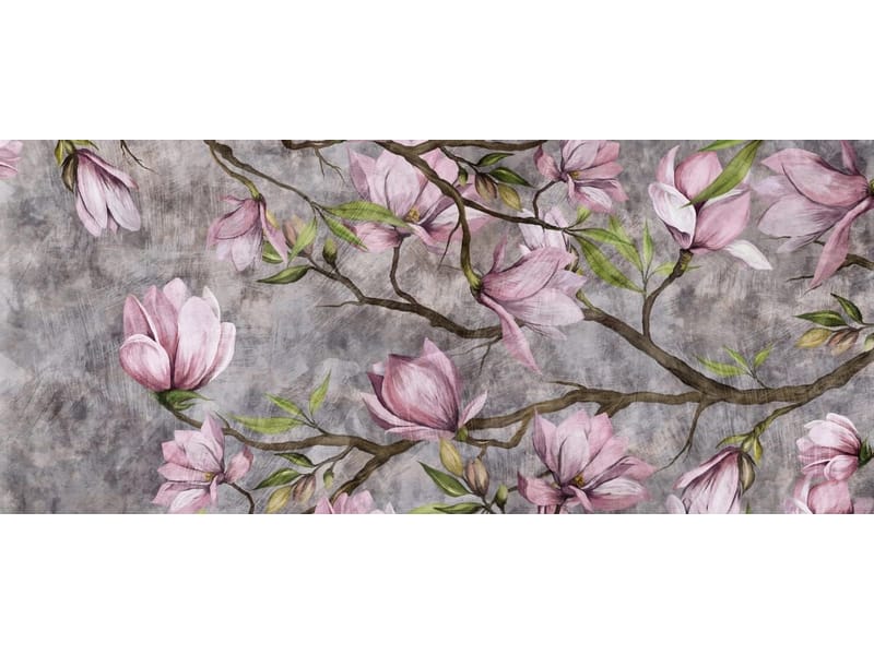 Fototapeta Magnolia wiosną (kod: 26276) Fototapeta Magnolia wiosną