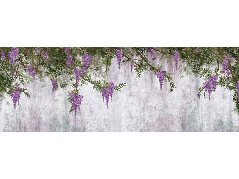 Fototapeta Glicynia w kwiatach (kod: 26300) Fototapeta Glicynia w kwiatach
