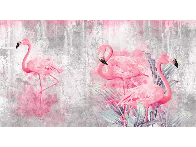 Fototapeta Flamingi różowe (kod: 26586) Fototapeta Flamingi różowe