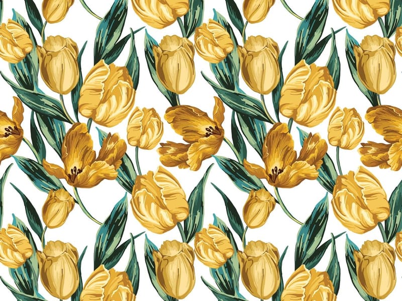 Fototapeta Tulipany żółte – szkic (kod: 26634) Fototapeta Tulipany żółte – szkic