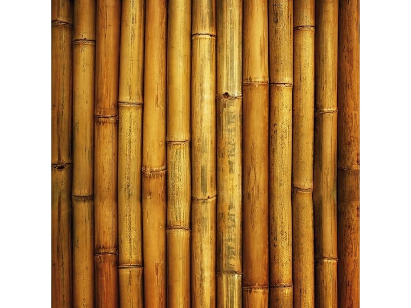 Fototapeta Naturalna przegroda (kod: 9061) Fototapeta Naturalna przegroda