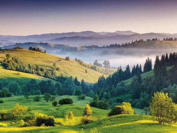 Fototapety Pola i Łąki