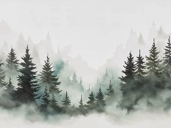 Fototapety Krajobrazy leśne