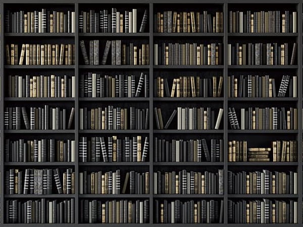 Fototapety Regały z książkami