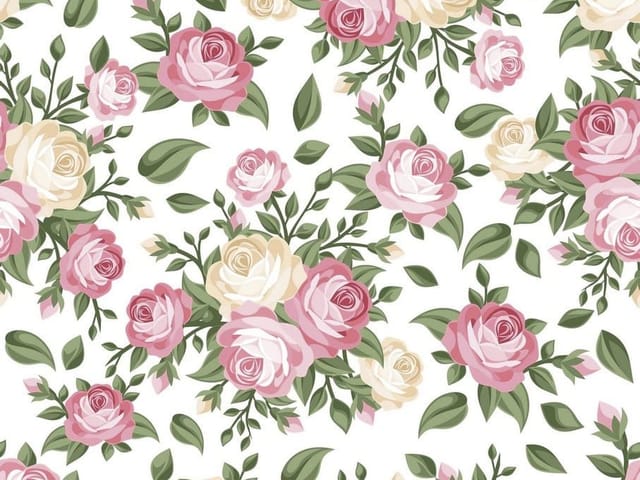 Fototapeta z różowymi i kremowymi różami na białym tle