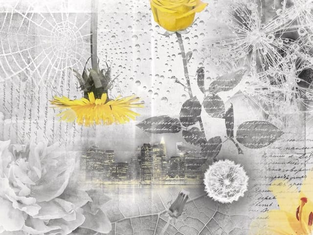 Fototapeta z żółtym kwiatem na tle miasta z kroplami wody i pajęczyną