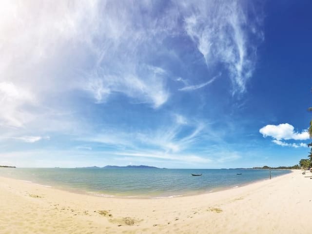 Fototapeta z piaszczystą plażą, palmami i błękitnym niebem