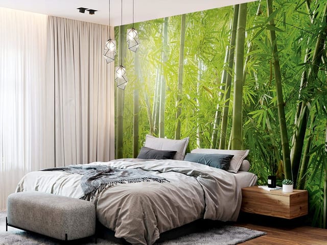 Fototapeta Spokojny las bambusowy (kod: 1188) Fototapeta z gęstym lasem bambusowym, zielonymi liśćmi i światłem słonecznym