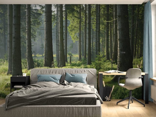 Fototapeta Las o świcie z promieniami słońca