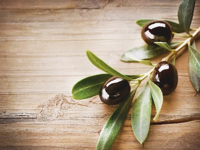 Fototapeta Gałązka Oliwna na Drewnianym Tle (kod: 13239) Fototapeta z gałązką oliwną, ciemnymi oliwkami i zielonymi liśćmi na drewnianym tle