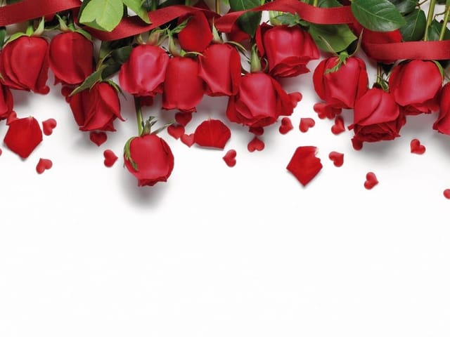 Fototapeta z czerwonymi różami i zielonymi liśćmi na białym tle