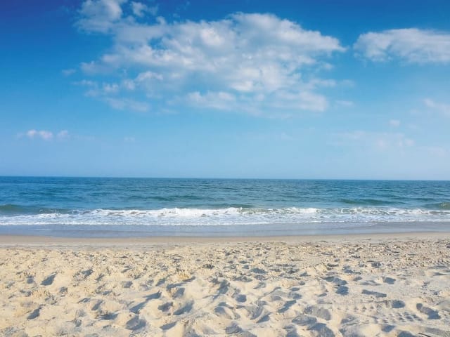 Fototapeta Plaża z widokiem na ocean (mpn: 1453) Fototapeta z piaszczystą plażą i spokojnym oceanem pod błękitnym niebem