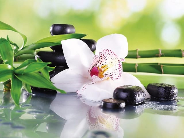 Fototapeta Orchidea i kamienie w harmonii (kod: 14671) Fototapeta z białym kwiatem orchidei, czarnymi kamieniami i bambusem