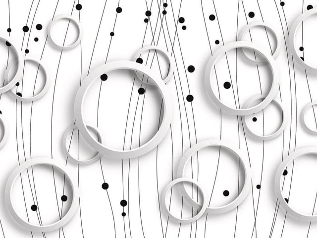 Fototapeta z białymi okręgami na tle czarnych linii i kropek