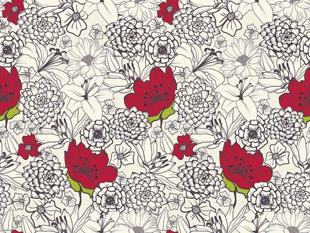 Fototapeta z dużymi czerwonymi kwiatami i czarno-białymi konturami