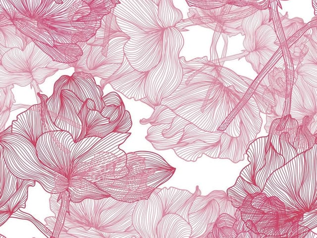 Fototapeta Piwonie na białym tle (kod: 16899) Fototapeta z kwiatami piwonii o delikatnych konturach na białym tle