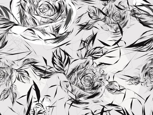 Fototapeta z czarno-białymi różami i geometrycznym tłem