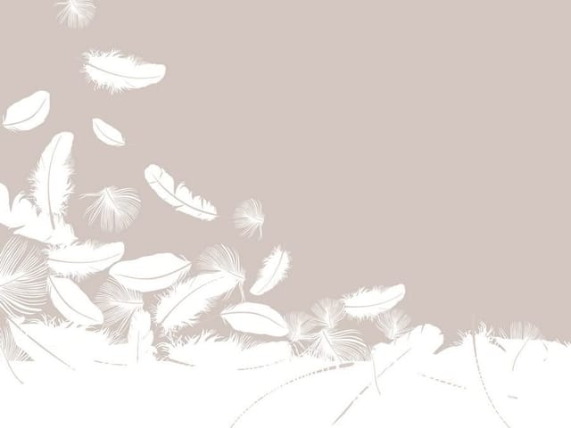 Fototapeta z unoszącymi się białymi piórami na jasnym tle