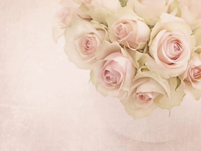 Fototapeta Bukiet różowych róż na jasnym tle (kod: 18253) Fototapeta z bukietem różowych róż na jasnym tle i zielonymi liśćmi