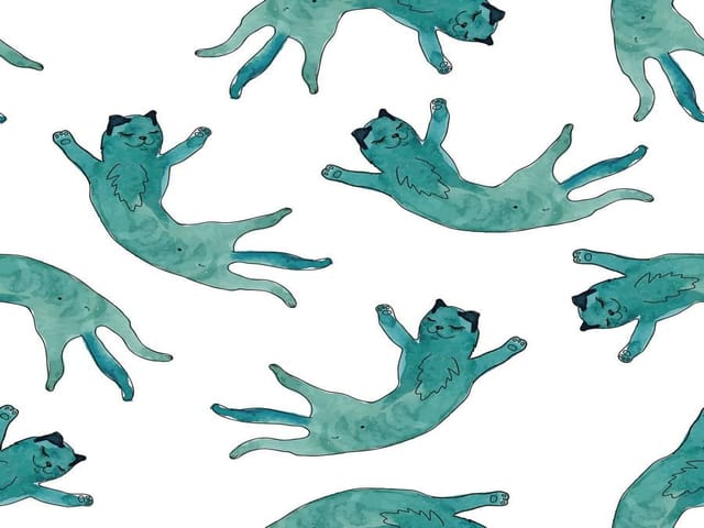 Fototapeta Niebieskie koty na białym tle