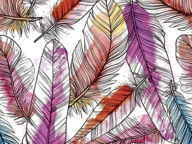 Fototapeta z różnorodnymi kolorowymi piórami na białym tle