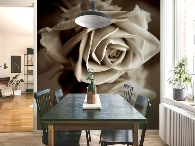 Fototapeta Róża z Odbiciem w Sepii