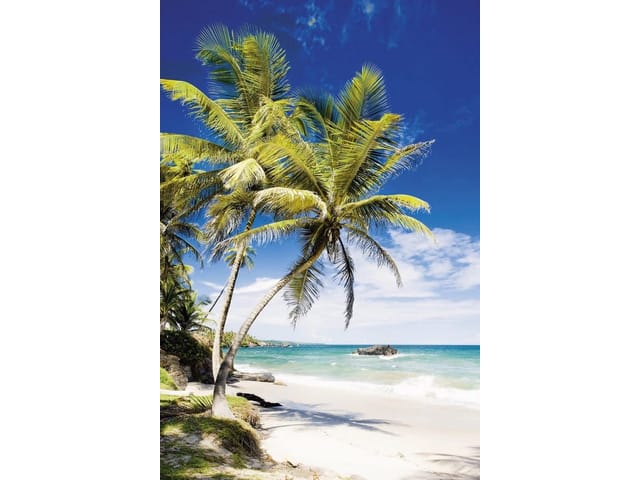 Fototapeta z palmami na tropikalnej plaży z turkusowym morzem