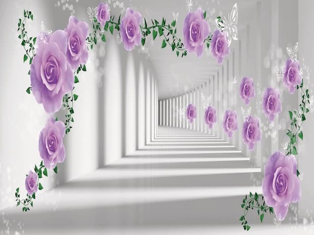 Fototapeta Fioletowe róże w białym korytarzu