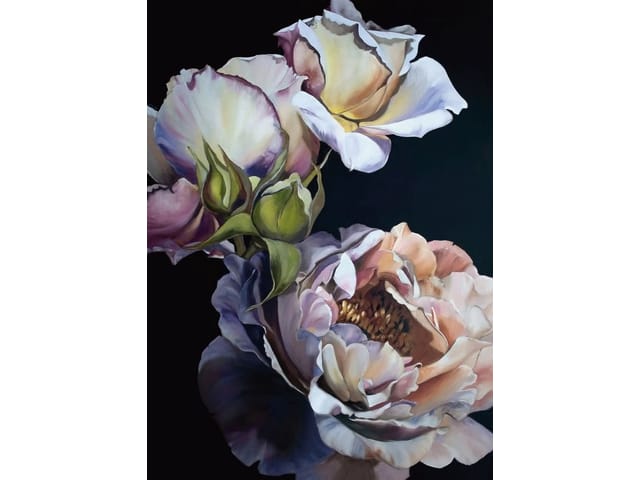 Fototapeta Róże w pełnym rozkwicie (kod: 21575) Fototapeta z dużymi różami na ciemnym tle z zielonymi liśćmi