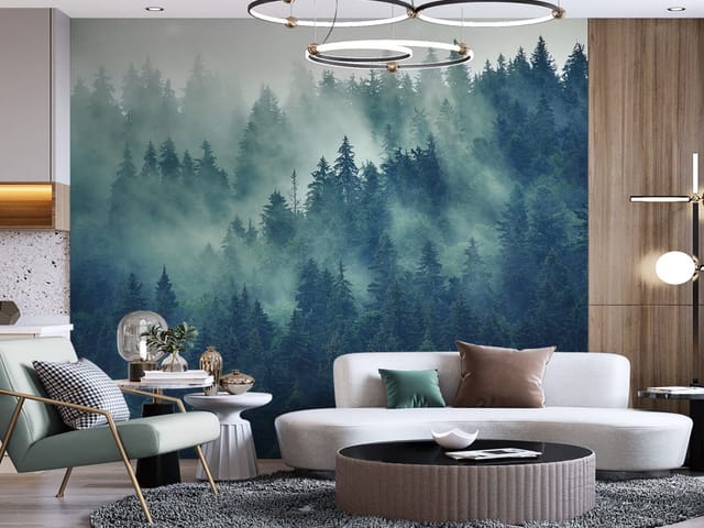 Fototapeta Mglisty las iglasty