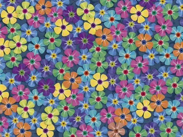 Fototapeta z różnobarwnymi kwiatami na ciemnoniebieskim tle