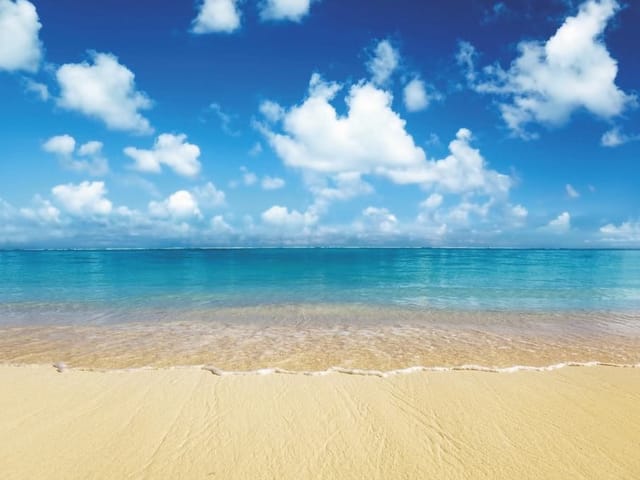 Fototapeta Plaża i Błękitne Morze (mpn: 2253) Fototapeta z piaszczystą plażą i błękitnym morzem pod jasnym niebem