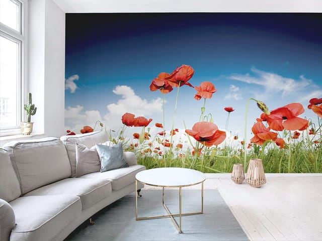Fototapeta przedstawiająca czerwone maki na zielonej łące z niebem i chmurami