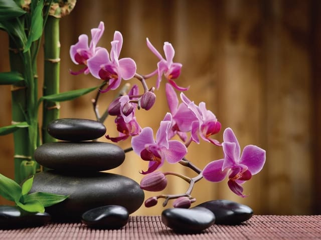 Fototapeta Orchidee i kamienie w harmonii (mpn: 2353) Fototapeta z różowymi storczykami, czarnymi kamieniami i bambusem