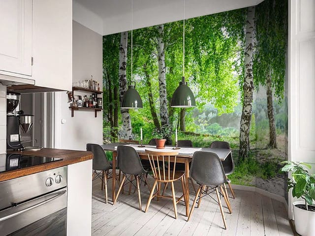 Fototapeta Brzozy w zielonym lesie