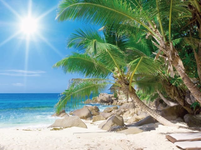Fototapeta z palmami na tropikalnej plaży, błękitne niebo i ocean