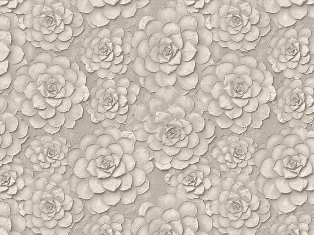 Fototapeta Kwiaty w odcieniach szarości