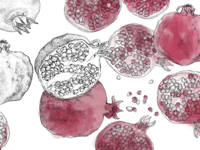 Fototapeta z granatami w przekrojach na białym tle