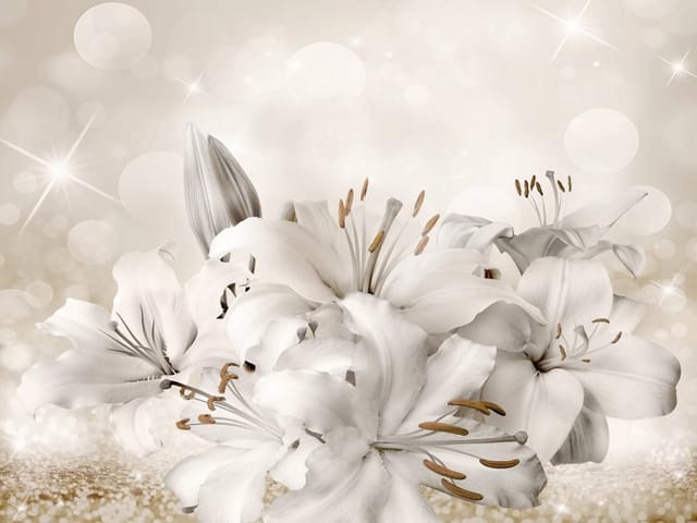 Fototapeta Bukiet białych lilii z bokeh