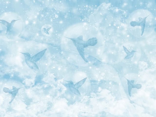 Fototapeta z kolibrami unoszącymi się wśród chmur i gwiazd