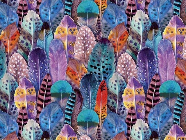 Fototapeta z kolorowymi piórami w różnorodnych wzorach i intensywnych barwach